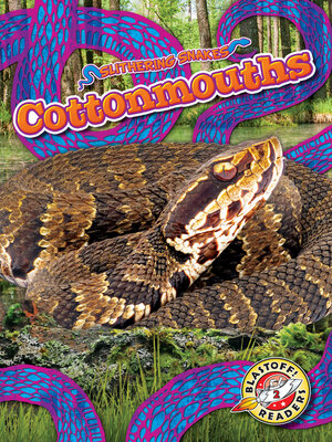 cover image of Cottonmouths